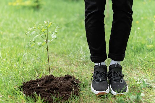 eco-friendly training pants